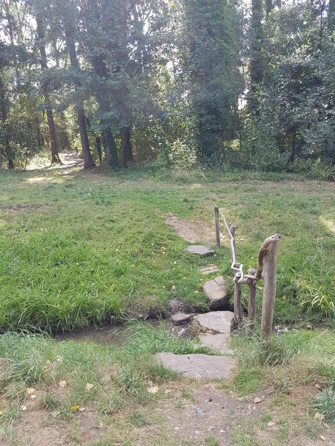 Bnbmarlies Oorsbeek Exteriér fotografie